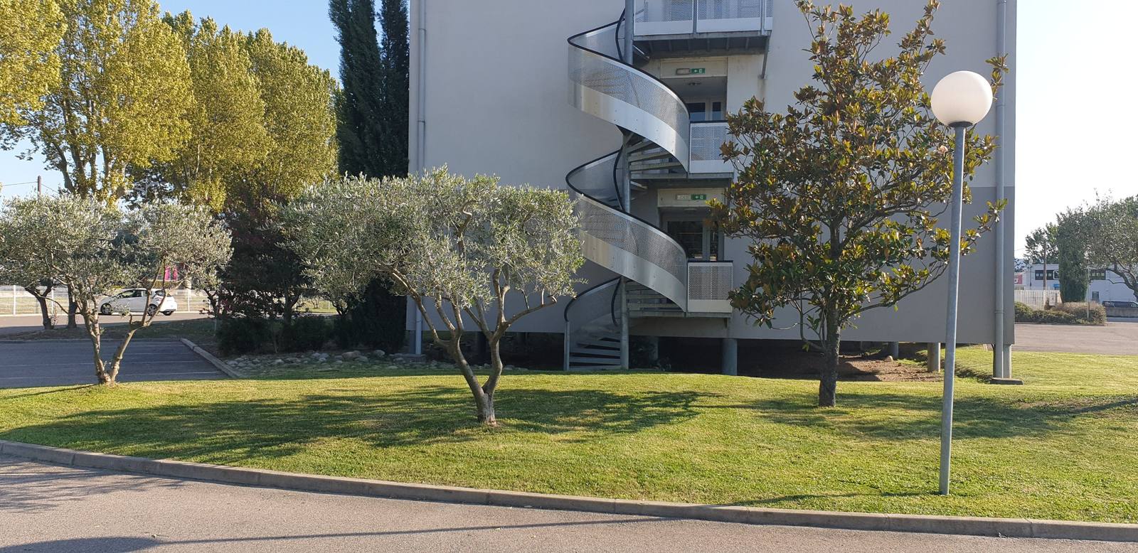 Espaces verts entretenus au pied d'une résidence : oliviers, magnolia et pelouse
