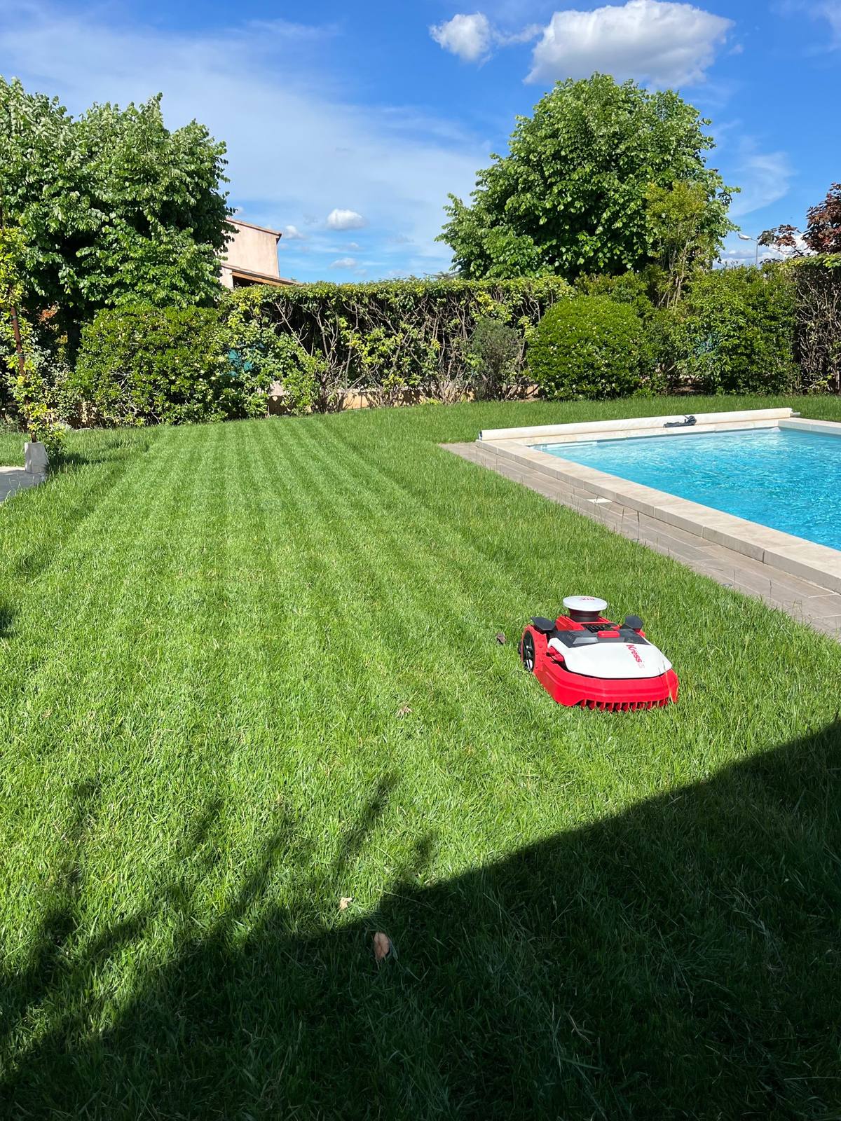 Pelouse entretenue au bord d'une piscine, réalisation de Florian Aramand Paysagiste à Pertuis